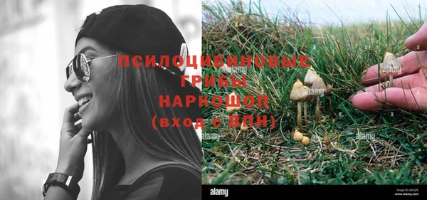 PSILOCYBIN Волоколамск