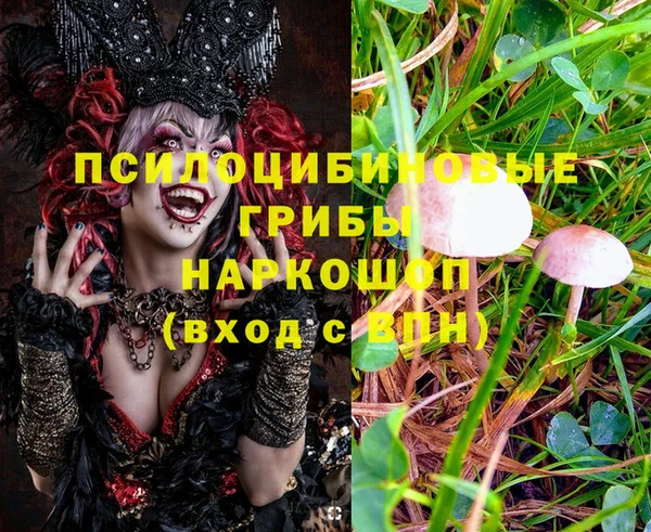 spice Волосово